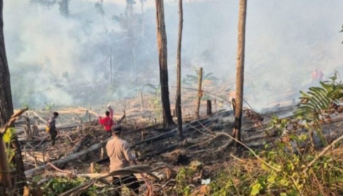 Kabut Asap Selimuti Mamuju Beberapa Hari Terakhir, BPBD Ingatkan Bahaya Partikulat Bagi Anak, Lansia, Ibu Hamil