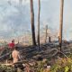 Kabut Asap Selimuti Mamuju Beberapa Hari Terakhir, BPBD Ingatkan Bahaya Partikulat Bagi Anak, Lansia, Ibu Hamil
