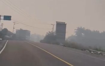 Respons Laporan Asap Tebal di Pangale, BPBD Sulbar Terus Lakukan Pemantauan dan Koordinasi 