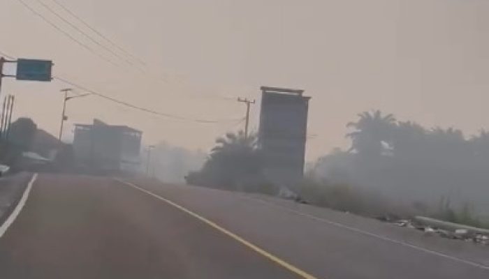 Respons Laporan Asap Tebal di Pangale, BPBD Sulbar Terus Lakukan Pemantauan dan Koordinasi 
