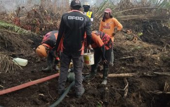 TRC BPBD Sulbar Bersama Tim Gabungan Terus Lakukan Pemadaman Karhutla di Desa Buana Sakti Tommo