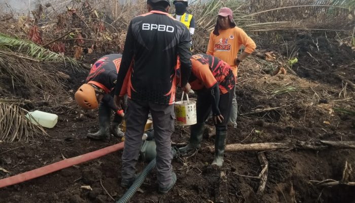 TRC BPBD Sulbar Bersama Tim Gabungan Terus Lakukan Pemadaman Karhutla di Desa Buana Sakti Tommo